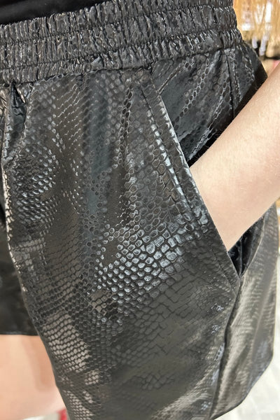 Python Shorts - Black